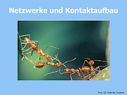 Netzwerke und Kontaktaufbau