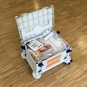 Buchtitel: Die Gesunde BoXXX