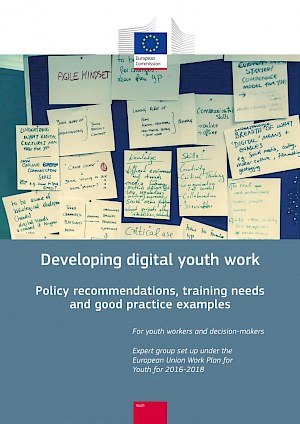 Buchtitel: Developing digital youth work. Policy recommendations and training needs