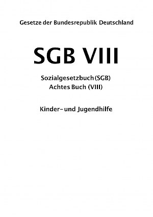 Buchtitel: Das Achte Buch Sozialgesetzbuch – Kinder- und Jugendhilfe