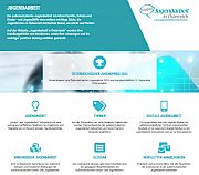 Webportal „Jugendarbeit in Österreich“ 