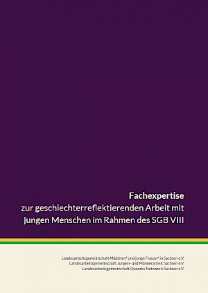 Buchtitel: Fachexpertise zur geschlechterreflektierenden Arbeit mit jungen Menschen im Rahmen des SGB VIII